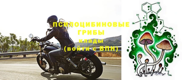 спиды Арсеньев