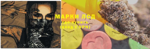 спиды Арсеньев